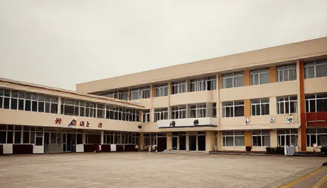 技术推广支持中使用建议的适用情况与限制